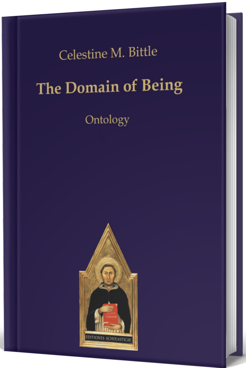 The Domain of Being